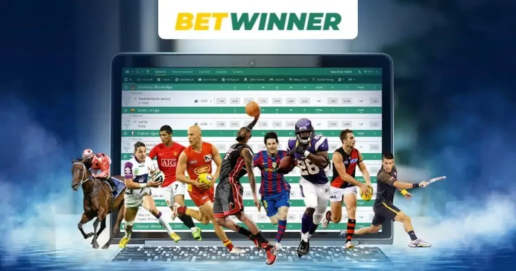 How To Learn betwinner affiliate account